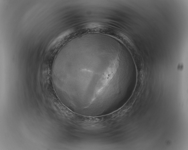 X0000114111111200910051506