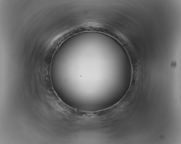 X0000114111112200910051506