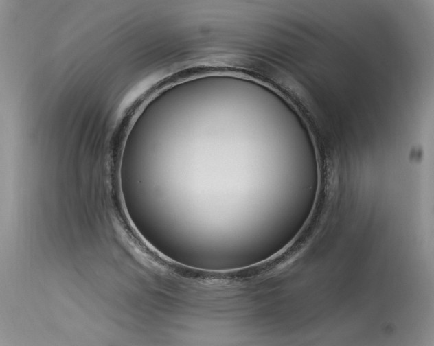 X0000114111114200910051506
