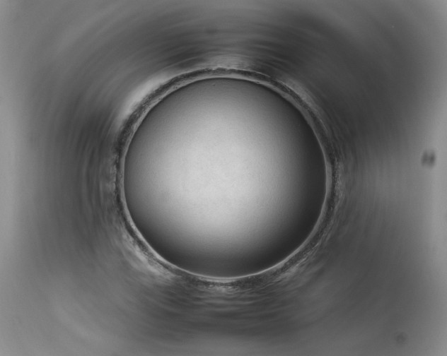 X0000114111115200910051506