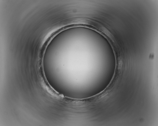 X0000114111116200910051506