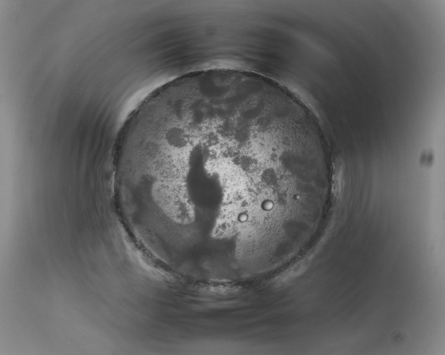 X0000114111117200910051506