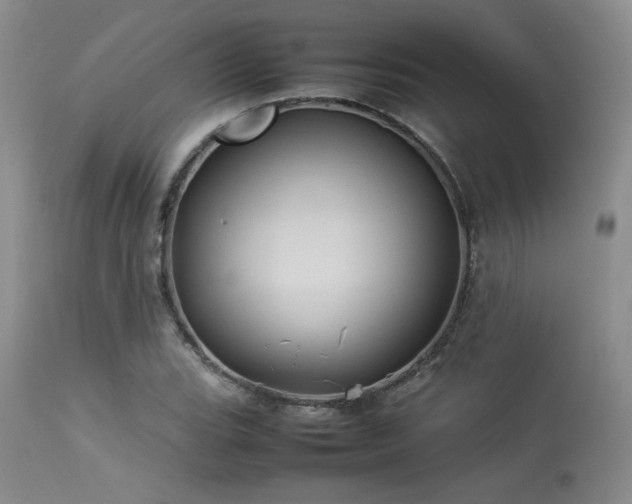 X0000114111119200910051506