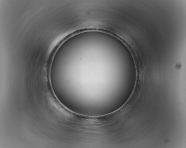X0000114111120200910051506