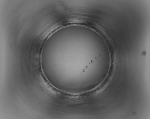 X0000114111121200910051507