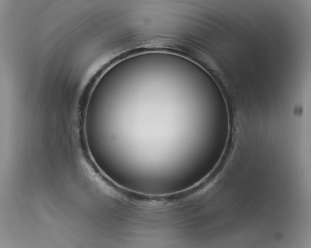 X0000114111122200910051507