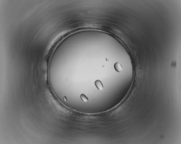 X0000114111123200910051507