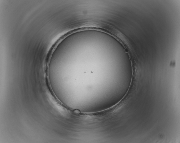 X0000114111124200910051507