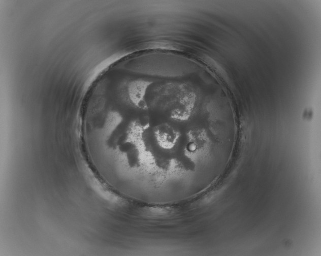 X0000114111125200910051507