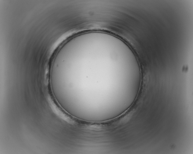 X0000114111126200910051507