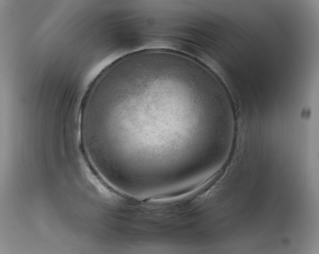 X0000114111127200910051507