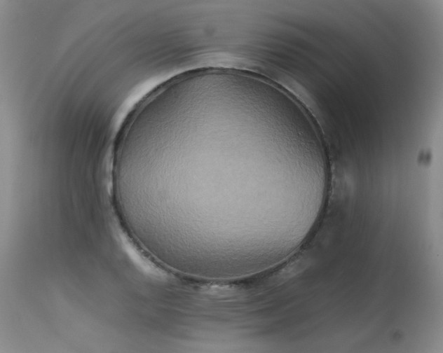 X0000114111128200910051507