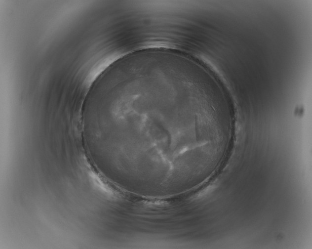 X0000114111129200910051507