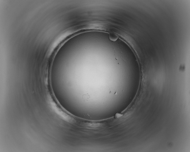 X0000114111131200910051507