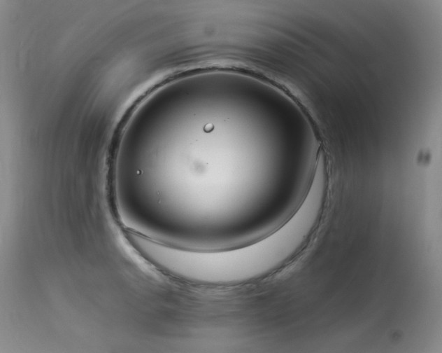 X0000114111134200910051507