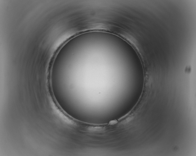 X0000114111135200910051507