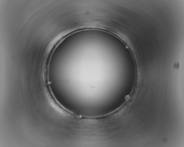 X0000114111136200910051507
