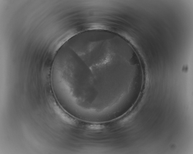 X0000114111137200910051507