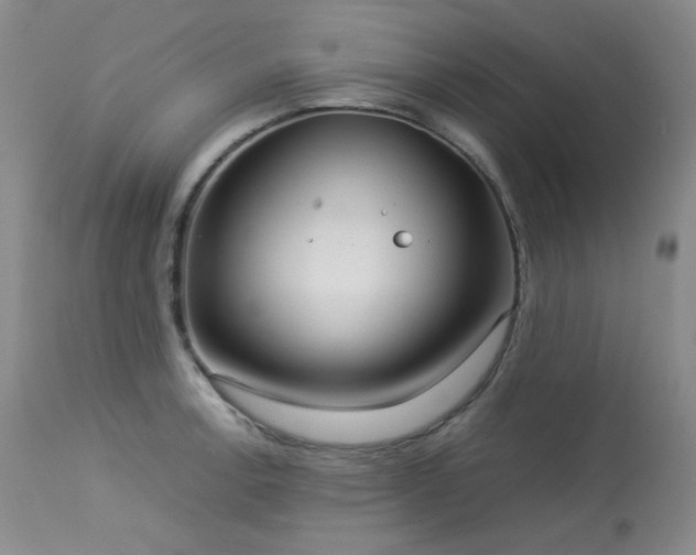 X0000114111138200910051507