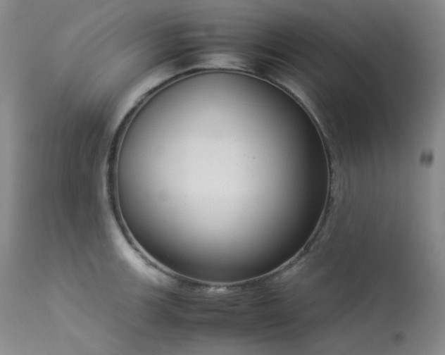 X0000114111139200910051507