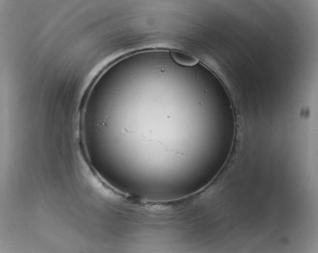 X0000114111140200910051507