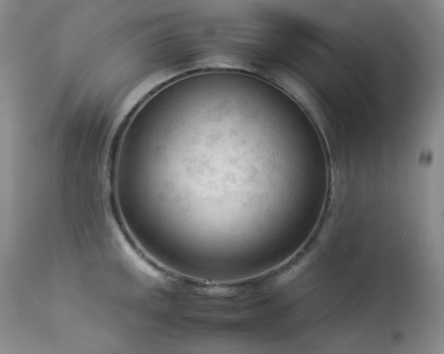 X0000114111141200910051507