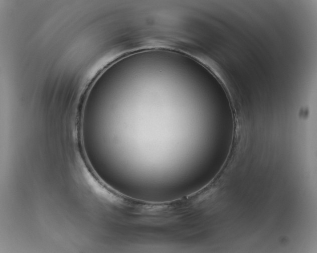 X0000114111143200910051507