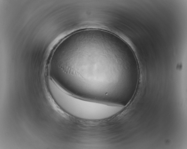 X0000114111144200910051507