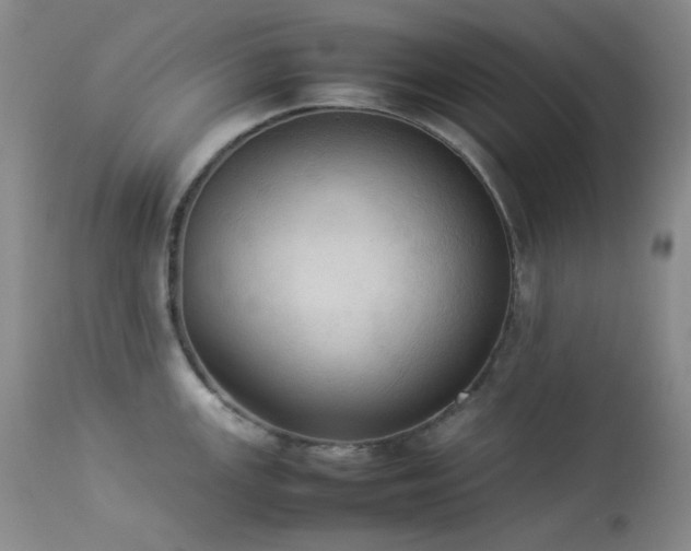 X0000114111147200910051507