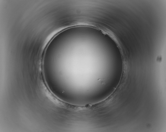 X0000114111148200910051507