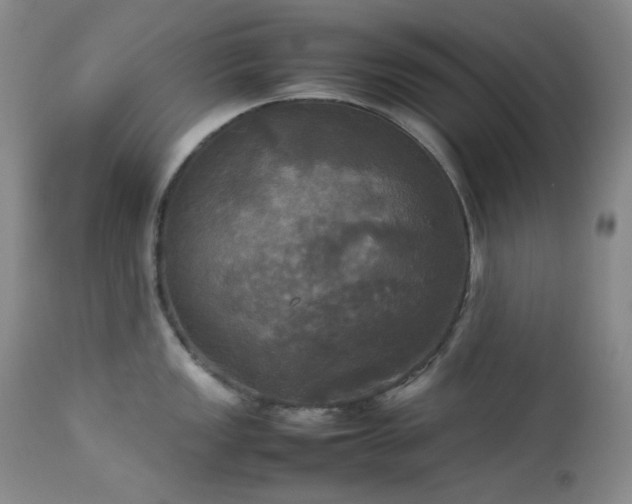 X0000114111149200910051507