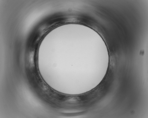 X0000114111150200910051507