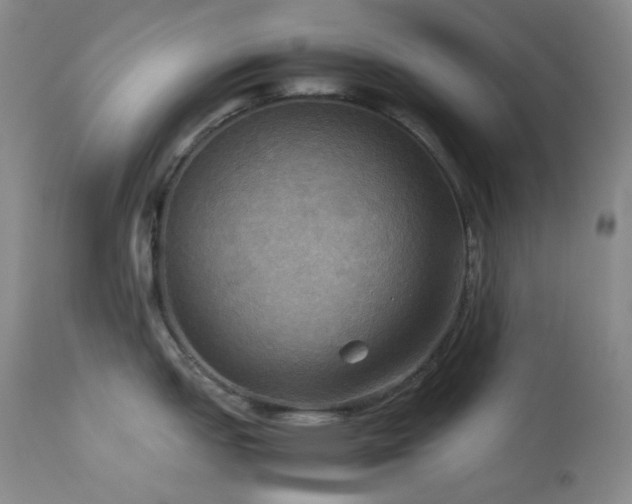X0000114111151200910051507