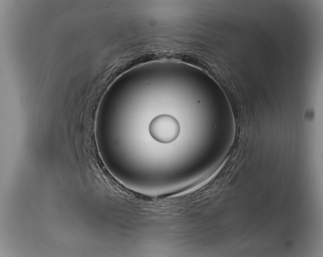 X0000114111153200910051506