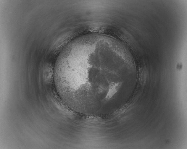 X0000114111154200910051506