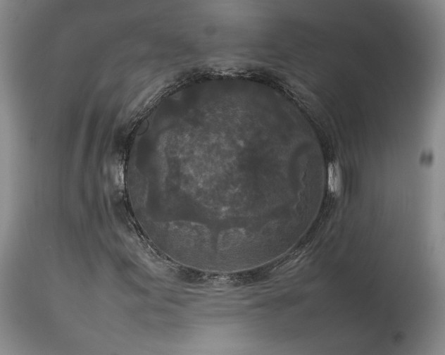 X0000114111155200910051506