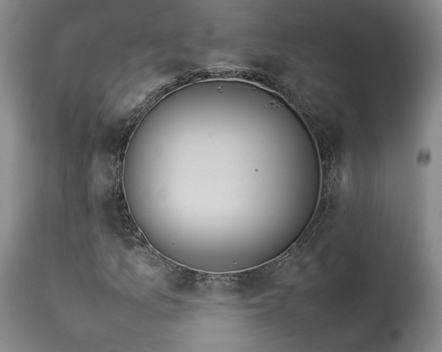 X0000114111157200910051506