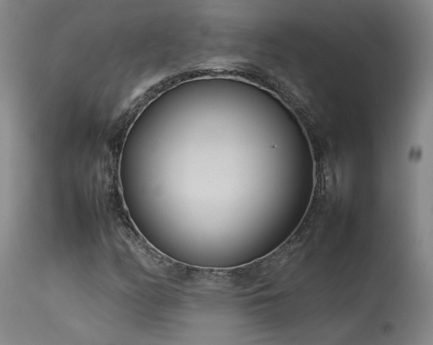 X0000114111158200910051506