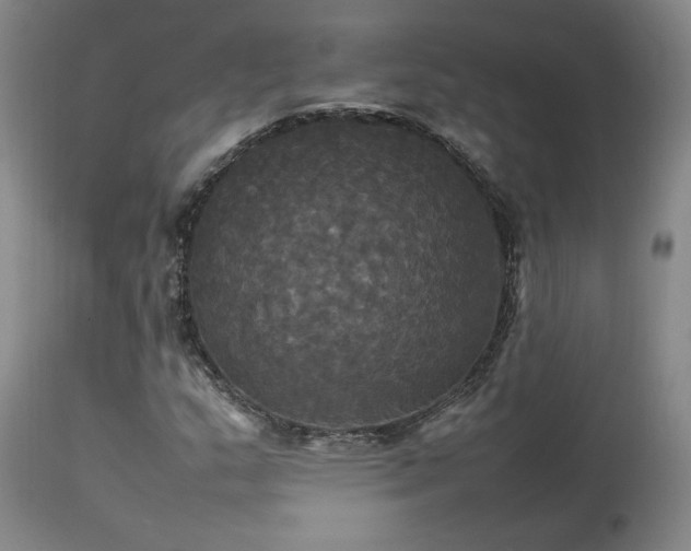 X0000114111159200910051506
