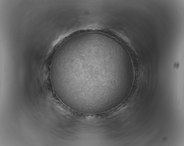 X0000114111160200910051506