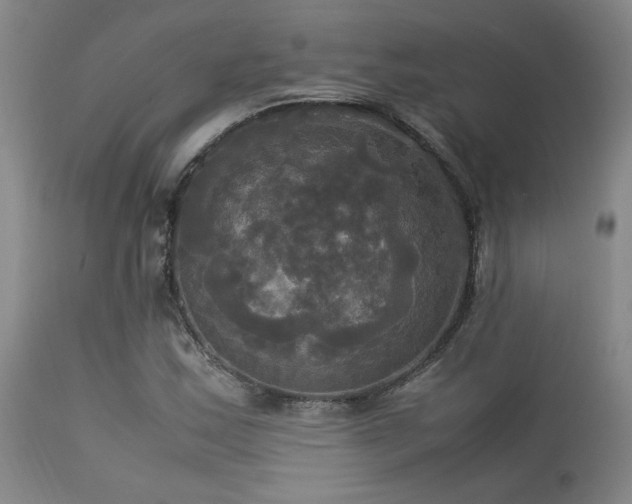 X0000114111163200910051506
