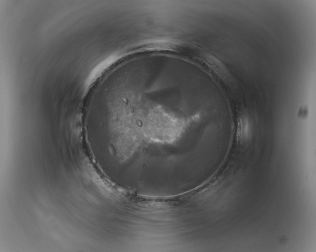 X0000114111164200910051506