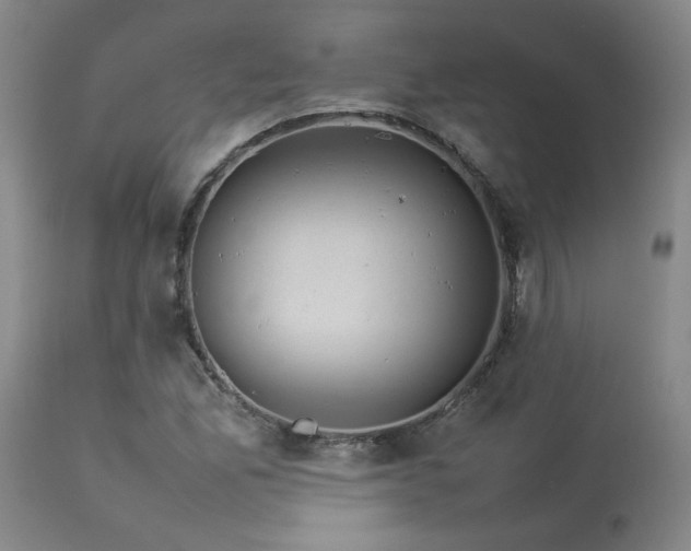 X0000114111165200910051506