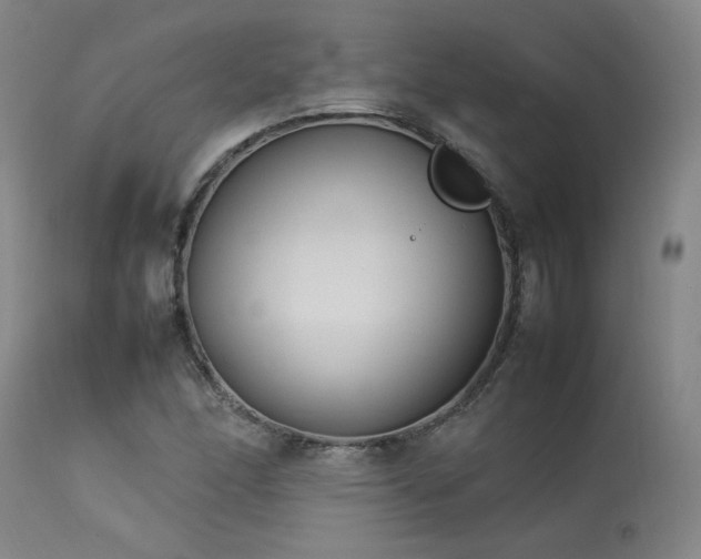 X0000114111166200910051506
