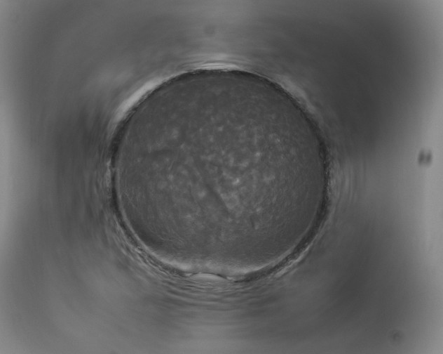 X0000114111167200910051506