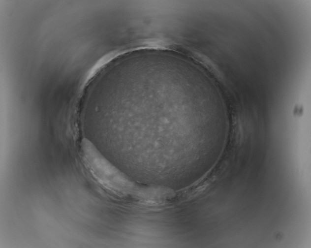 X0000114111168200910051506