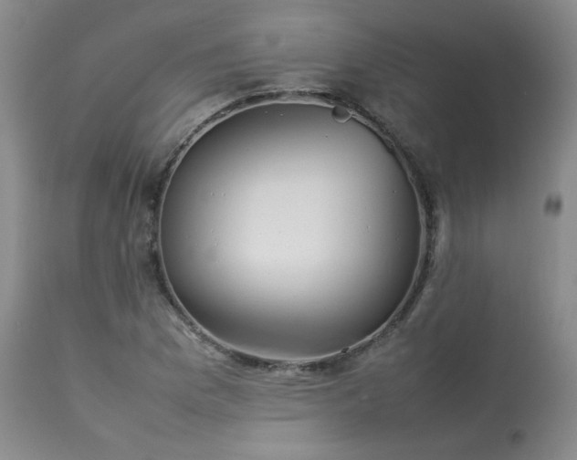 X0000114111169200910051506