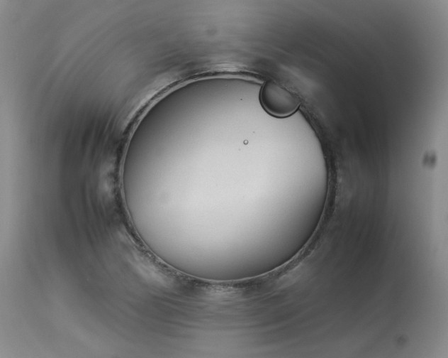 X0000114111170200910051506