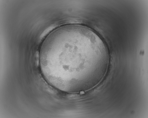 X0000114111171200910051506