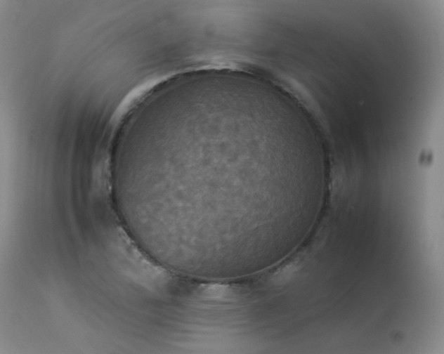 X0000114111172200910051506